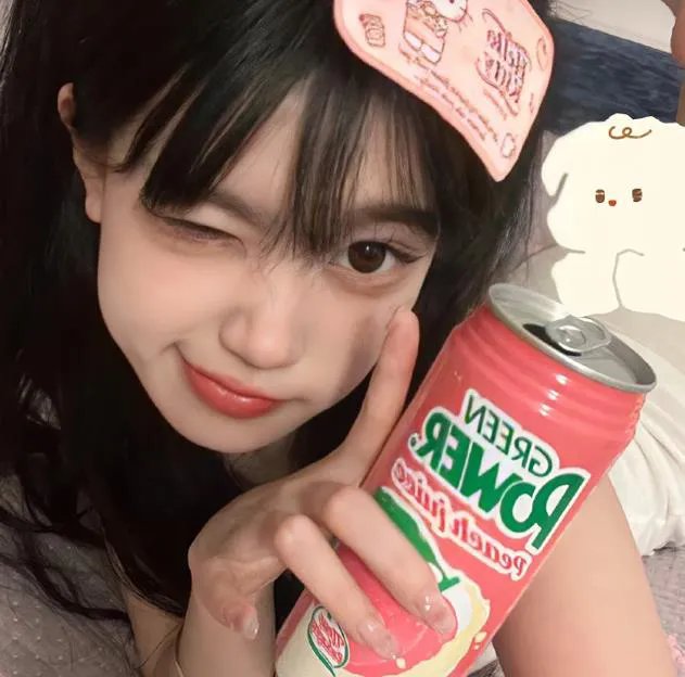 科搜研之女第24季